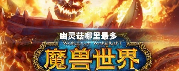 幽灵菇在哪里最多 魔兽世界怀旧服幽灵菇那个位置刷比较多?