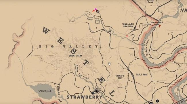 荒野大镖客2草莓镇老太太位置在哪 荒野大镖客2草莓镇老太太位置分享图文攻略