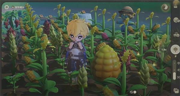 星布谷地变异果实怎么获取