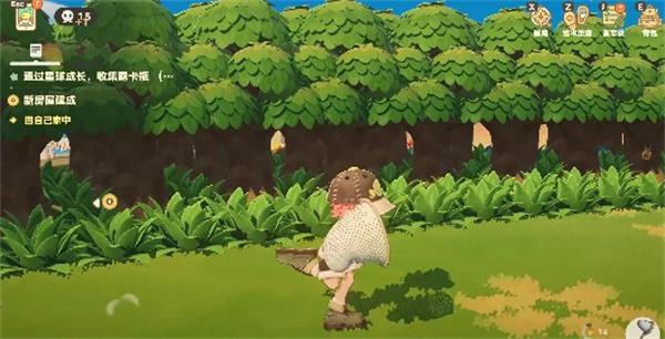 星布谷地怎么抓蝴蝶 星布谷地怎么抓蝴蝶