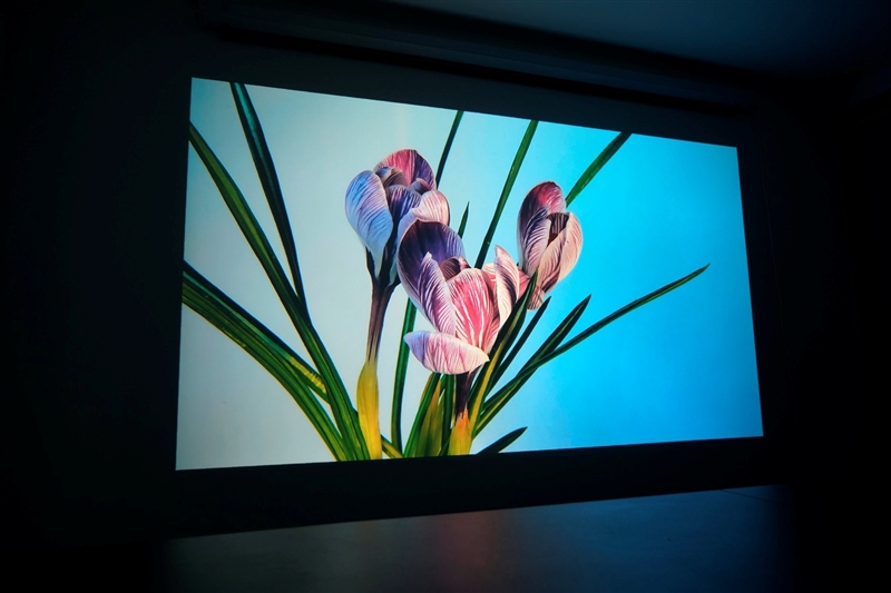 卧室缺一台投影仪吗？哈趣H3 Ultra评测：音画同级无敌 哈曼音箱还可以独立使用