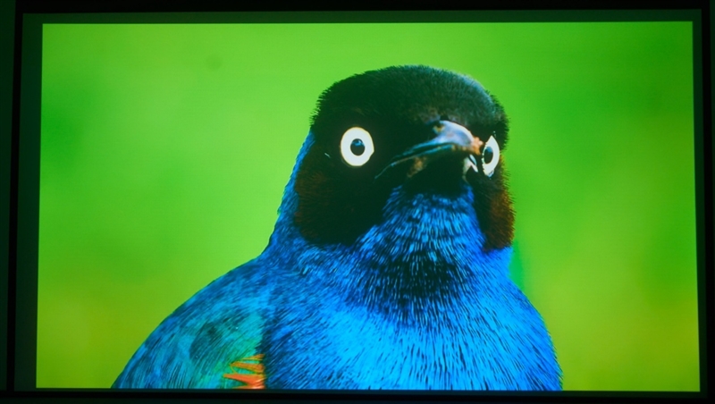 亮度不虚标的典范！哈趣H3 Ultra Max评测：2000元以内最强游戏投影仪