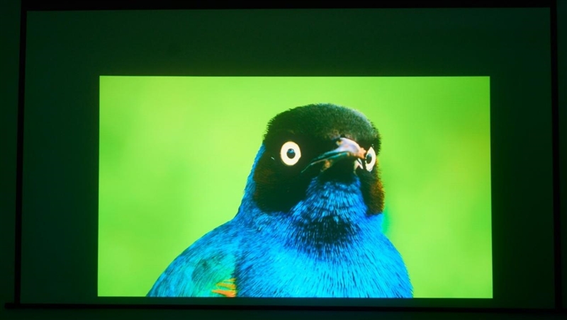 亮度不虚标的典范！哈趣H3 Ultra Max评测：2000元以内最强游戏投影仪