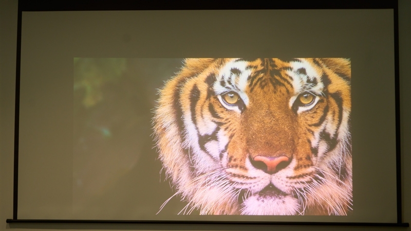 亮度不虚标的典范！哈趣H3 Ultra Max评测：2000元以内最强游戏投影仪