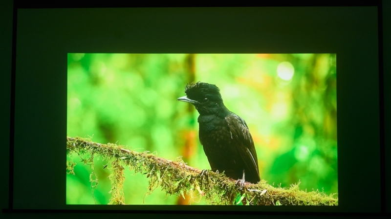 亮度不虚标的典范！哈趣H3 Ultra Max评测：2000元以内最强游戏投影仪