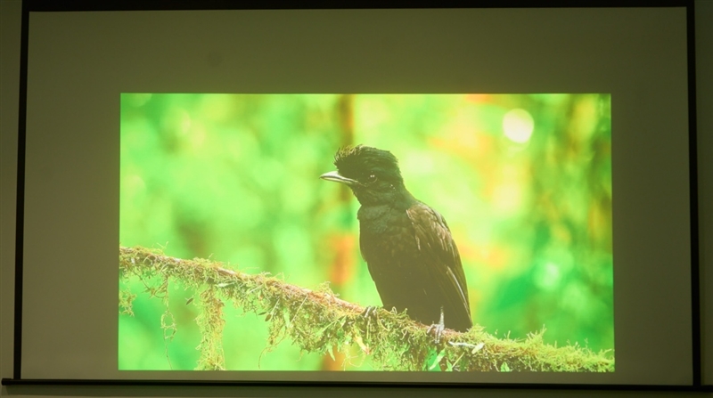 亮度不虚标的典范！哈趣H3 Ultra Max评测：2000元以内最强游戏投影仪