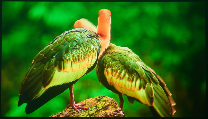 亮度不虚标的典范！哈趣H3 Ultra Max评测：2000元以内最强游戏投影仪