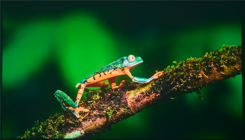 亮度不虚标的典范！哈趣H3 Ultra Max评测：2000元以内最强游戏投影仪