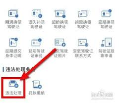 如何在交管12123查看违章照片