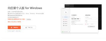 向日葵远程控制软件如何开启自动检查网络