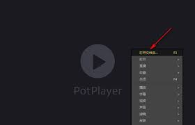 PotPlayer如何实现字幕同步