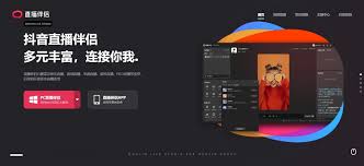 抖音直播伴侣是什么