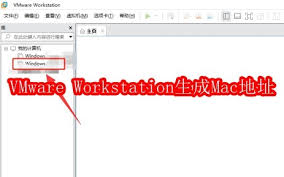 VMware Workstation如何生成Mac地址