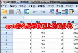 spss如何在饼图上显示百分比