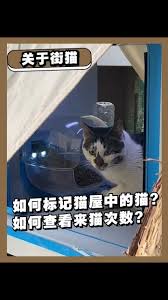 街猫app如何发评论