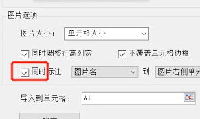 Excel表格如何批量导入图片