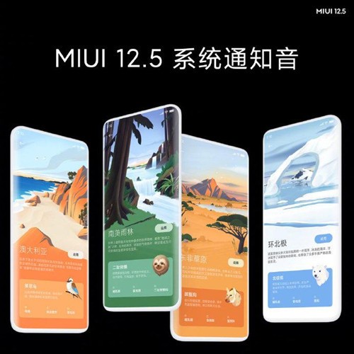 miui12.5开发版怎么更新