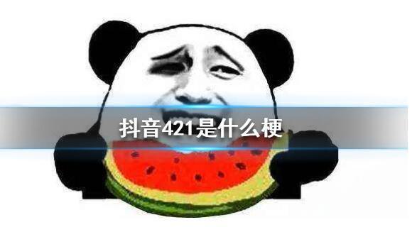 抖音421是什么意思