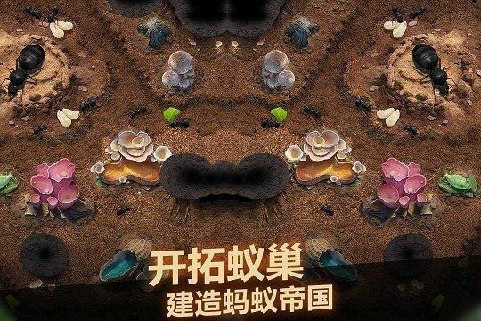 小小蚁国可用礼包码分享 小小蚁国礼包码大全2025