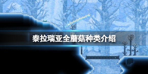 泰拉瑞亚蘑菇有几种？泰拉瑞亚蘑菇在哪里