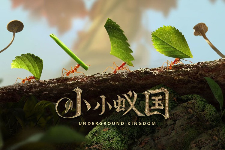 小小蚁国通用礼包激活码10个 小小蚁国兑换码全新可用