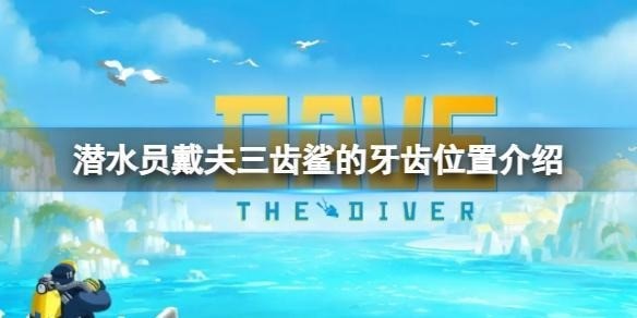 潜水员戴夫三齿鲨的牙齿在哪 潜水员戴夫三尺鲨牙齿位置攻略
