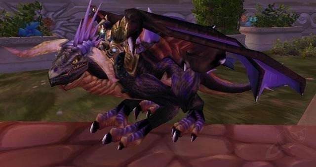 魔兽世界奥妮克希亚的头颅任务怎么做 魔兽世界奥妮克希亚的头颅任务流程