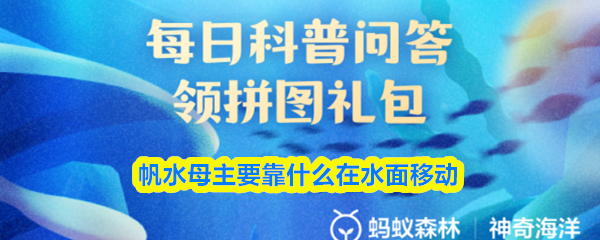 帆水母主要靠什么在水面移动