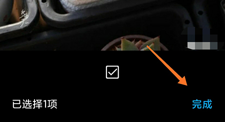 多肉成长记对比怎么操作