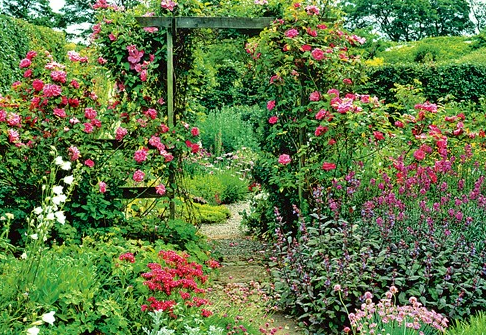 1619408152109371.png 爱花草怎么参观花园