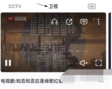 1618888569188600.png 央视频卫视回放怎么查看