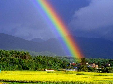 1618805183144191.png 美啦相机怎么染发