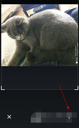 文件扫描王扫描怎么操作