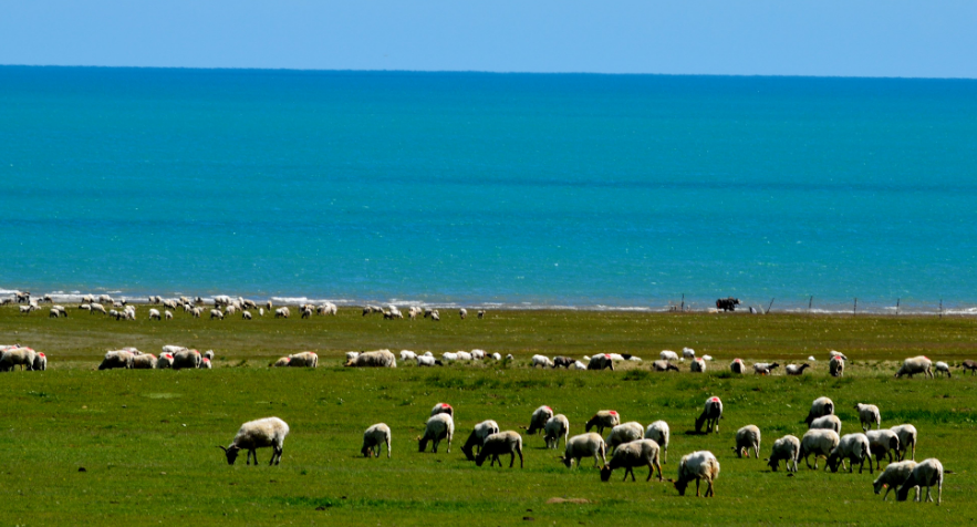 1617765646746091.png 青海人社通个人信息怎么修改