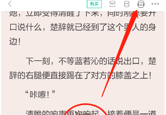 1617599292135090.png 当当云阅读听书速度怎么设置