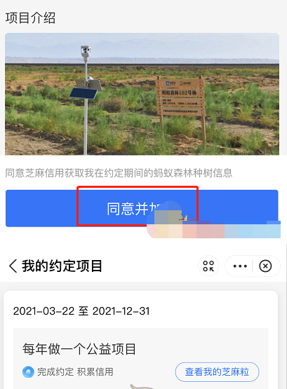 1616640505632360.png 支付宝芝麻公约怎么种树