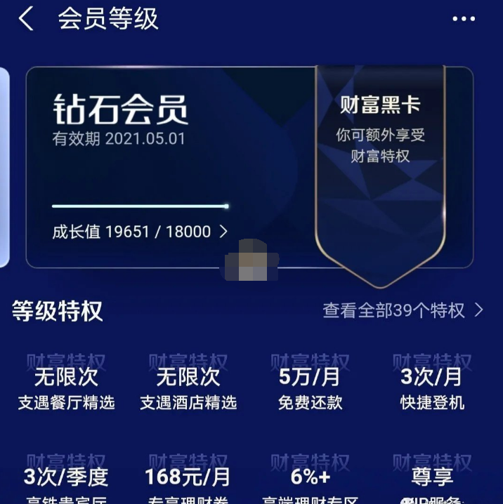 1616553097339980.png 支付宝财富黑卡有什么用