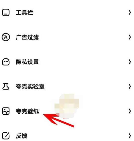 1616393080661532.png 夸克浏览器背景壁纸怎么设置