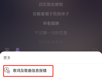 1615952930103986.png 网易云音乐歌词报错怎么办