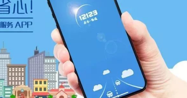 1613185838865687.png 交管12123无法预约怎么解决