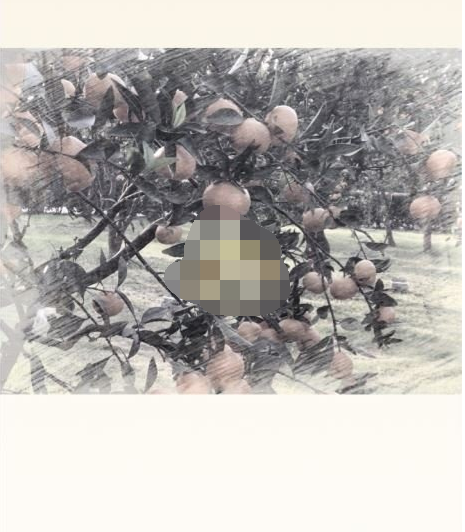 美图秀秀素描特效怎么设置