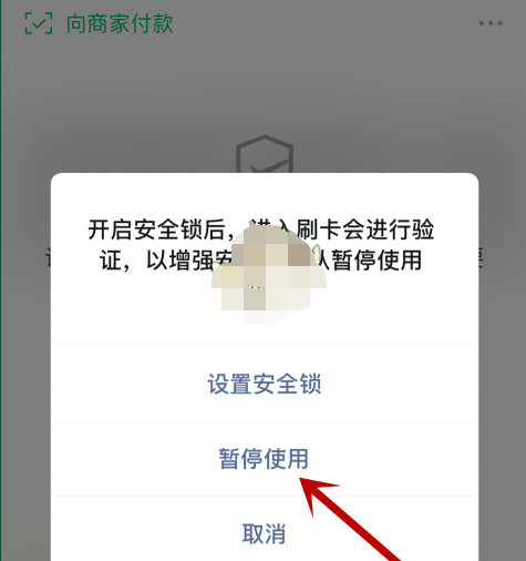 1609730854201018.png 微信暂停使用付款码怎么设置