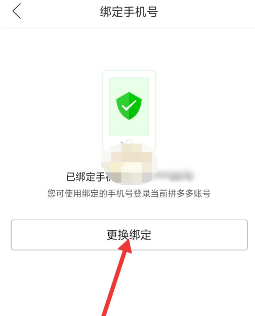1608258376237004.png 拼多多app手机号怎么改绑