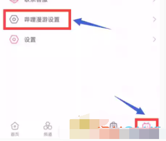 1607395883980716.png 哔哩哔哩漫游插件怎么激活