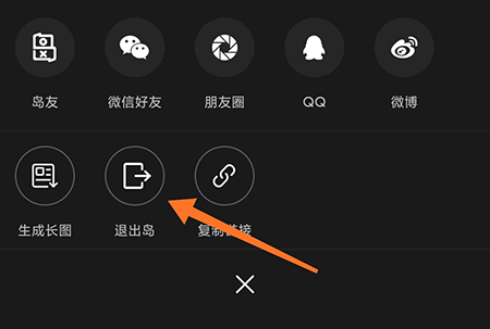 我岛退出岛怎么操作