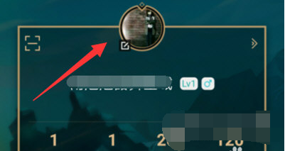 1605937653494942.png 掌上英雄联盟性别怎么改