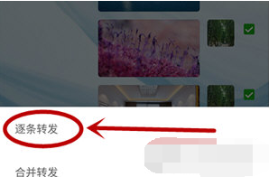 1596101772346423.png 微信APP批量发送图片怎么操作