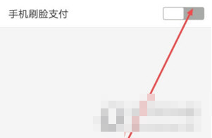 1592385779704692.png 支付宝APP刷脸支付怎么关闭