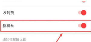 1589185928445062.png 网易云音乐新粉丝关注怎么设置提醒