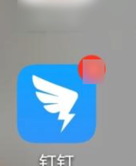 1588236262866013.png 钉钉投屏功能怎么使用